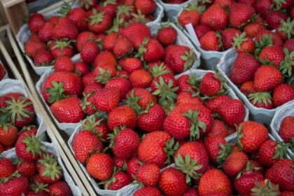 fresh strawberries basket