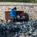 poultry farm biosecurity