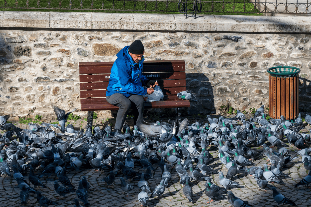 poultry farm biosecurity