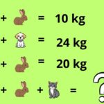 dog cat rabbit puzzle