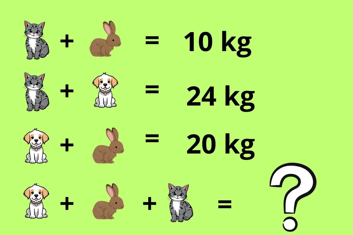 dog cat rabbit puzzle
