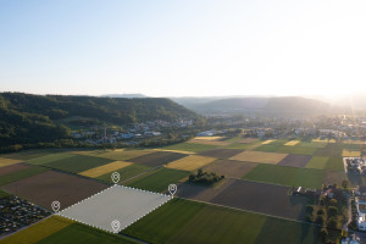 farm landscape conflict