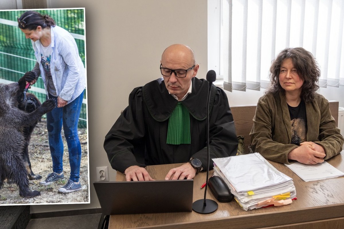 court hearing, zoo director