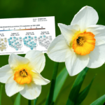 spring weather forecast