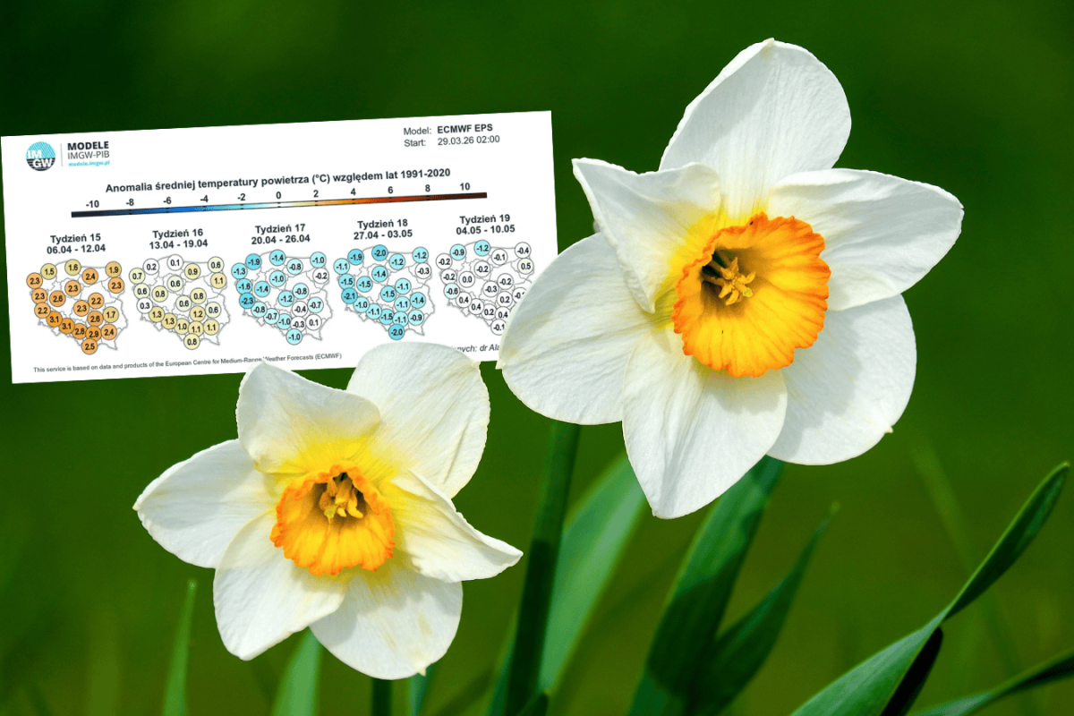 spring weather forecast