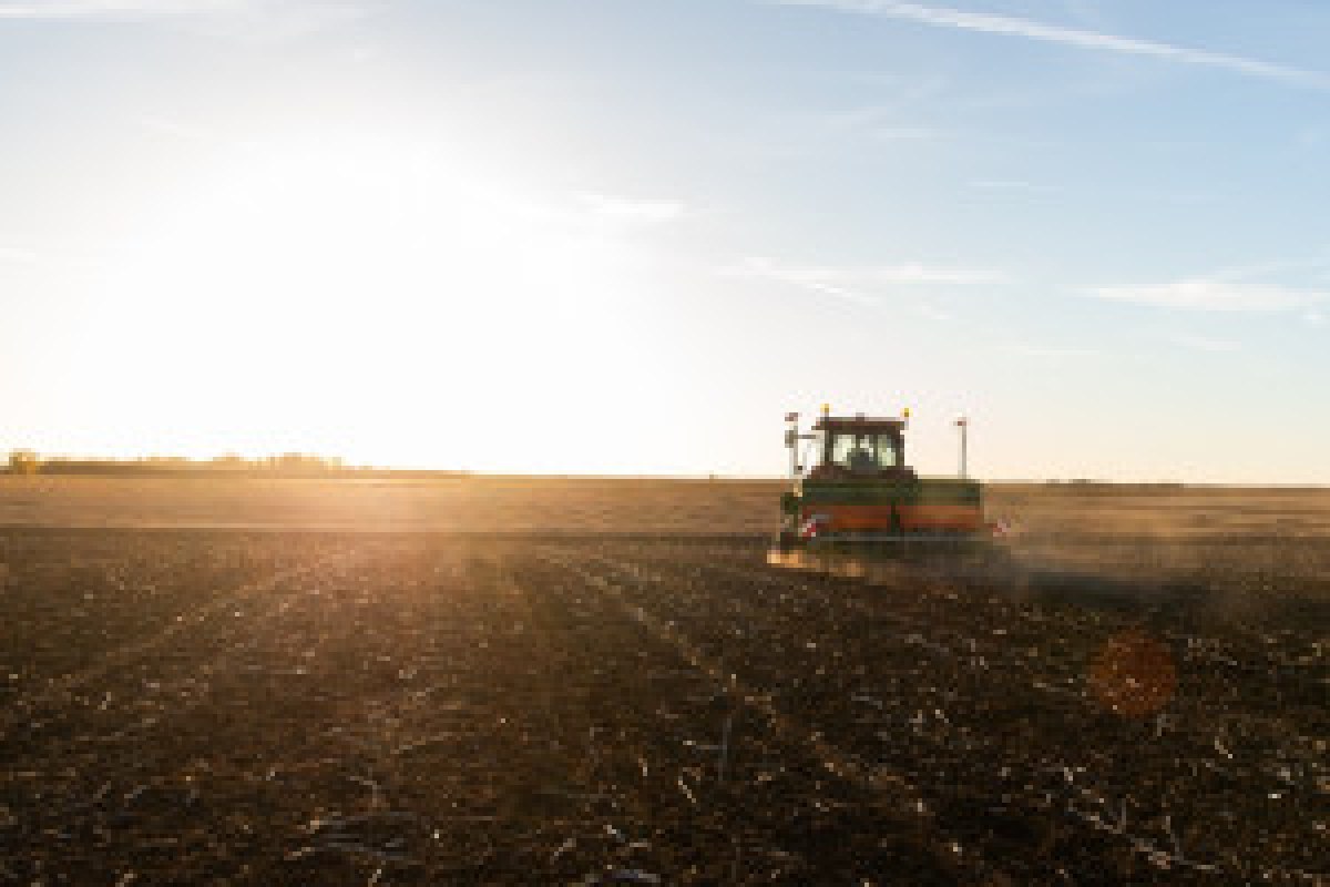 Danish farm landscape