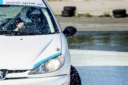 police traffic control