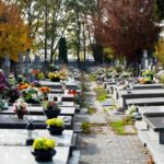 cemetery stairs accident