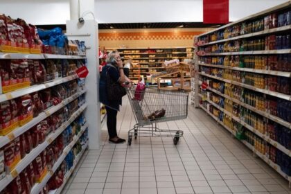 coffee beans imitation