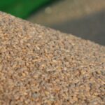 tractor field crisis