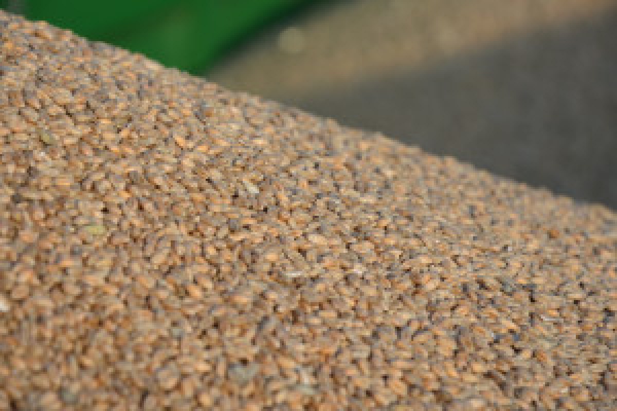 tractor field crisis