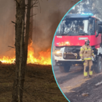 wildfire firefighters aerial
