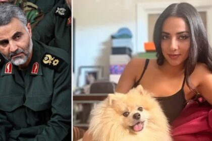 ICE arrest operation