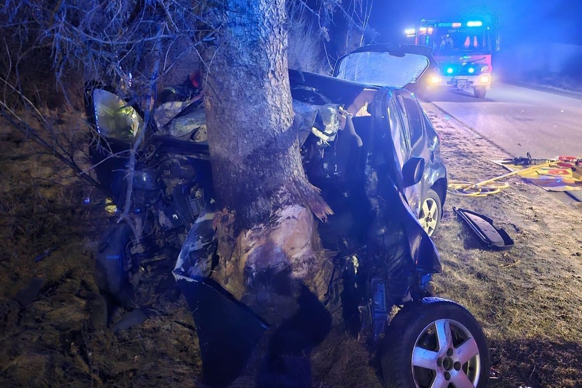 car crash tree