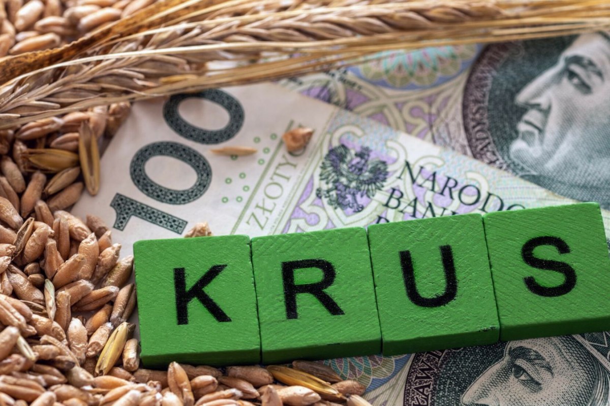 farmer checking smartphone