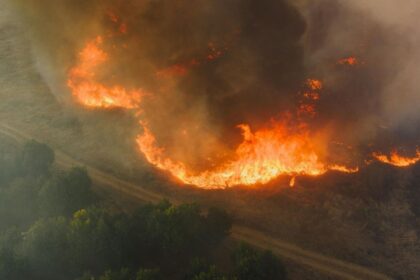 forest fire aerial