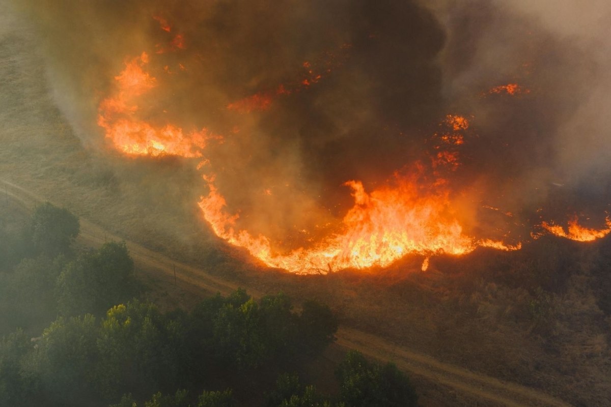 forest fire aerial