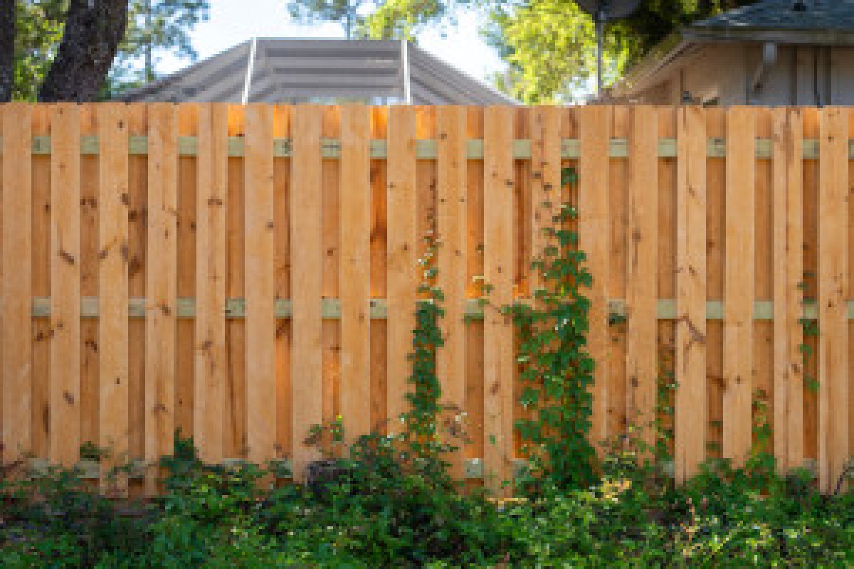 property fence dispute
