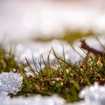 weather forecast map