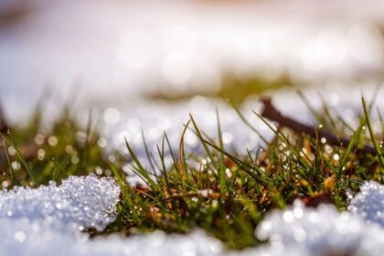 weather forecast map