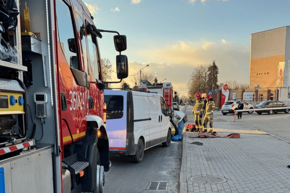 horse carriage accident