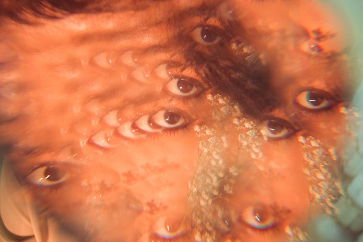 distorted face perception