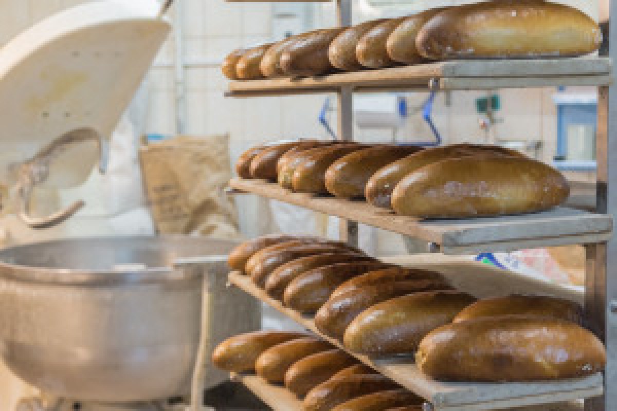 artisan baker farmer wheat