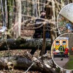 forest easter tragedy