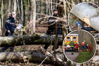 forest easter tragedy