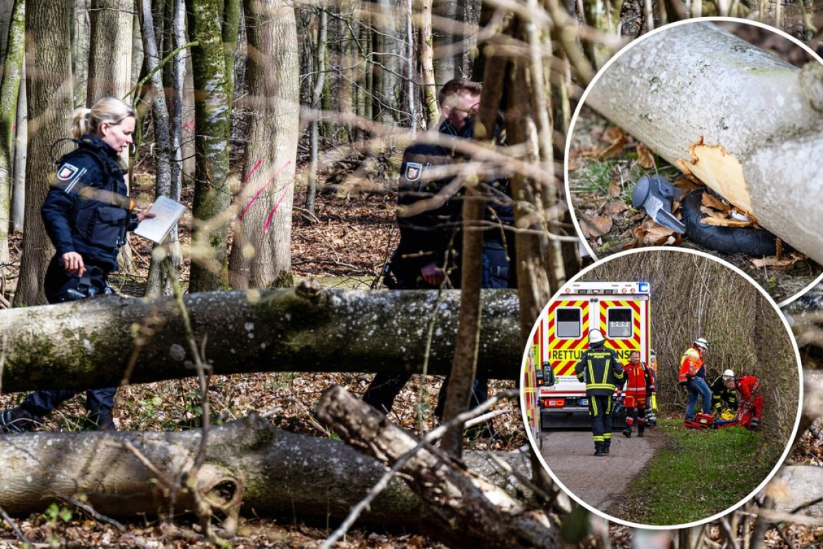 forest easter tragedy