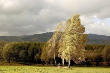 storm damage poland