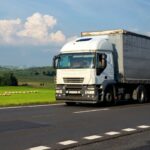 customs inspection food