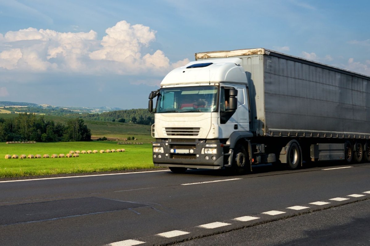 customs inspection food