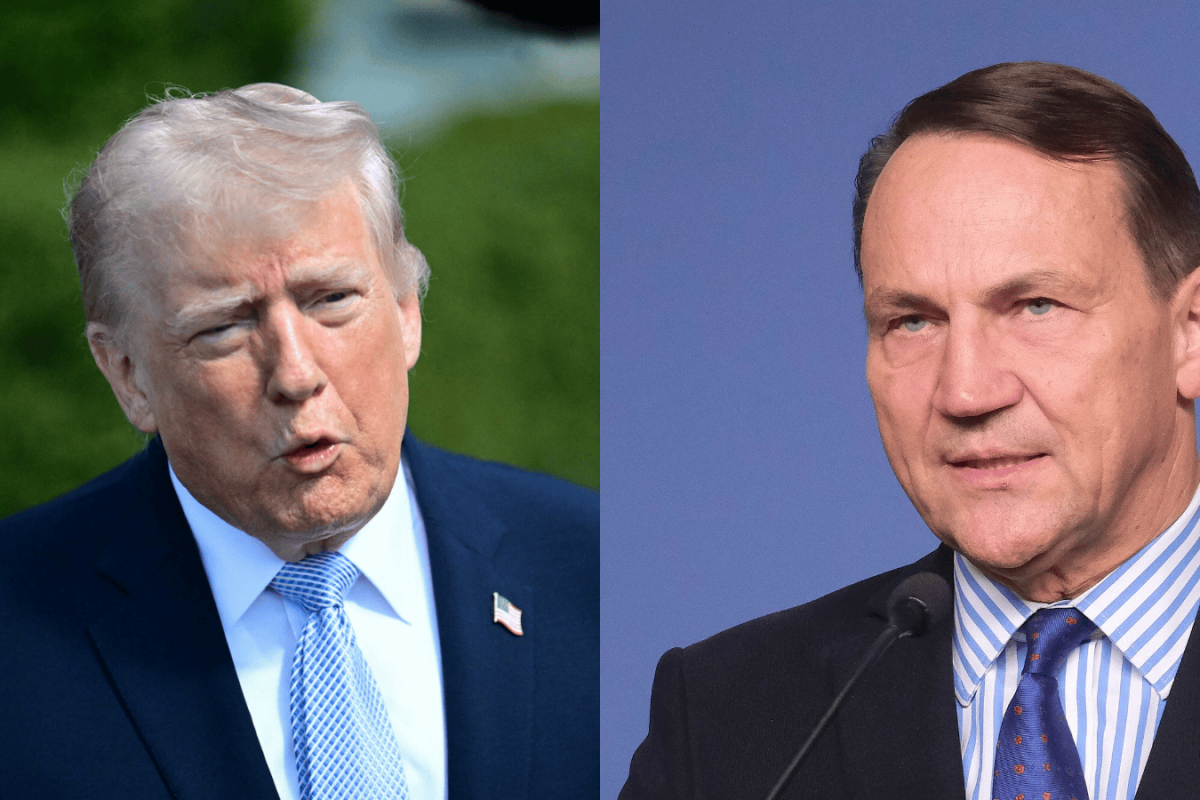 Radoslaw Sikorski portrait