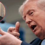 Donald Trump press conference