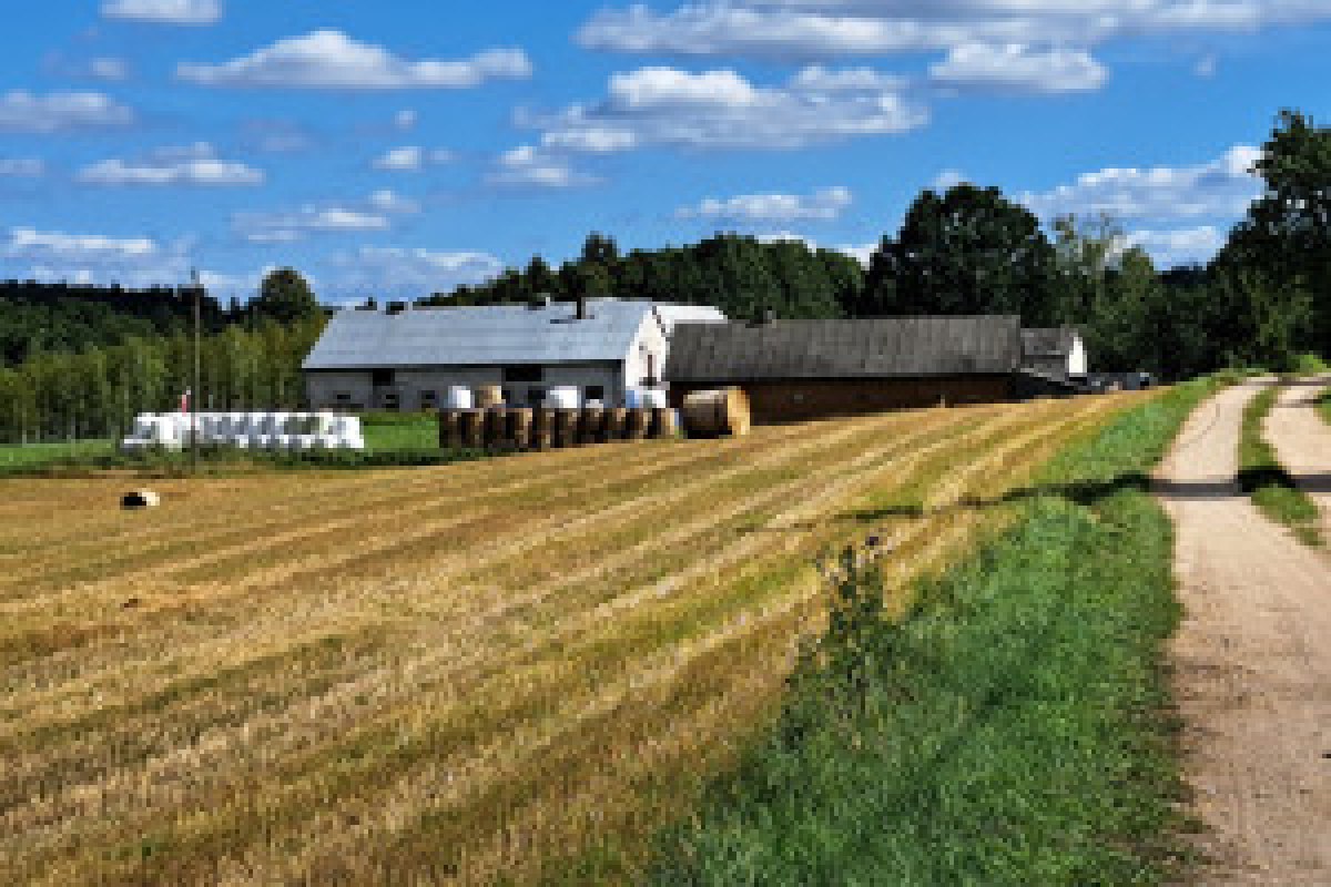 farmer field tractor