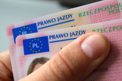 driving license code