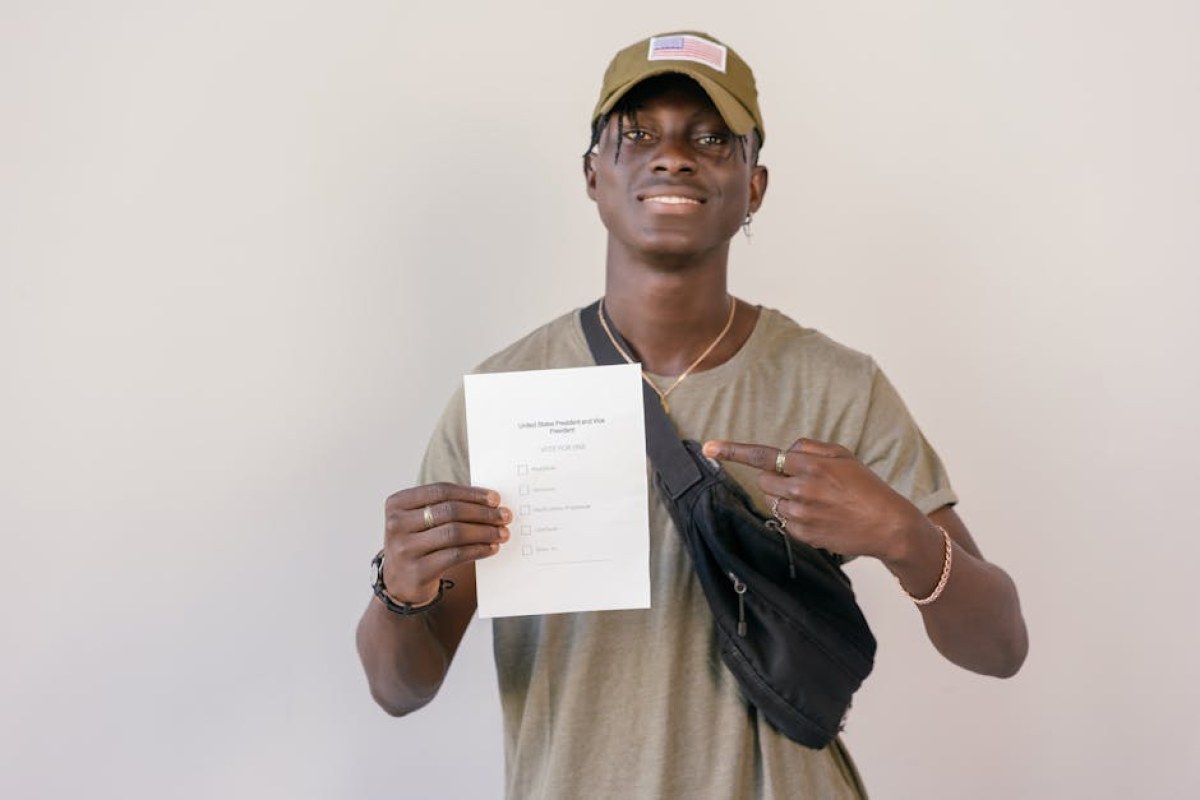 Hungarian diaspora voting