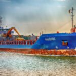 sunflower field harvest