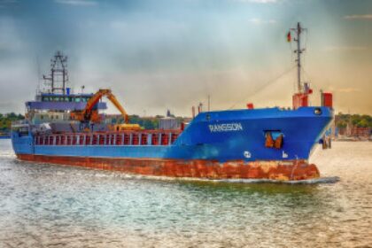 sunflower field harvest