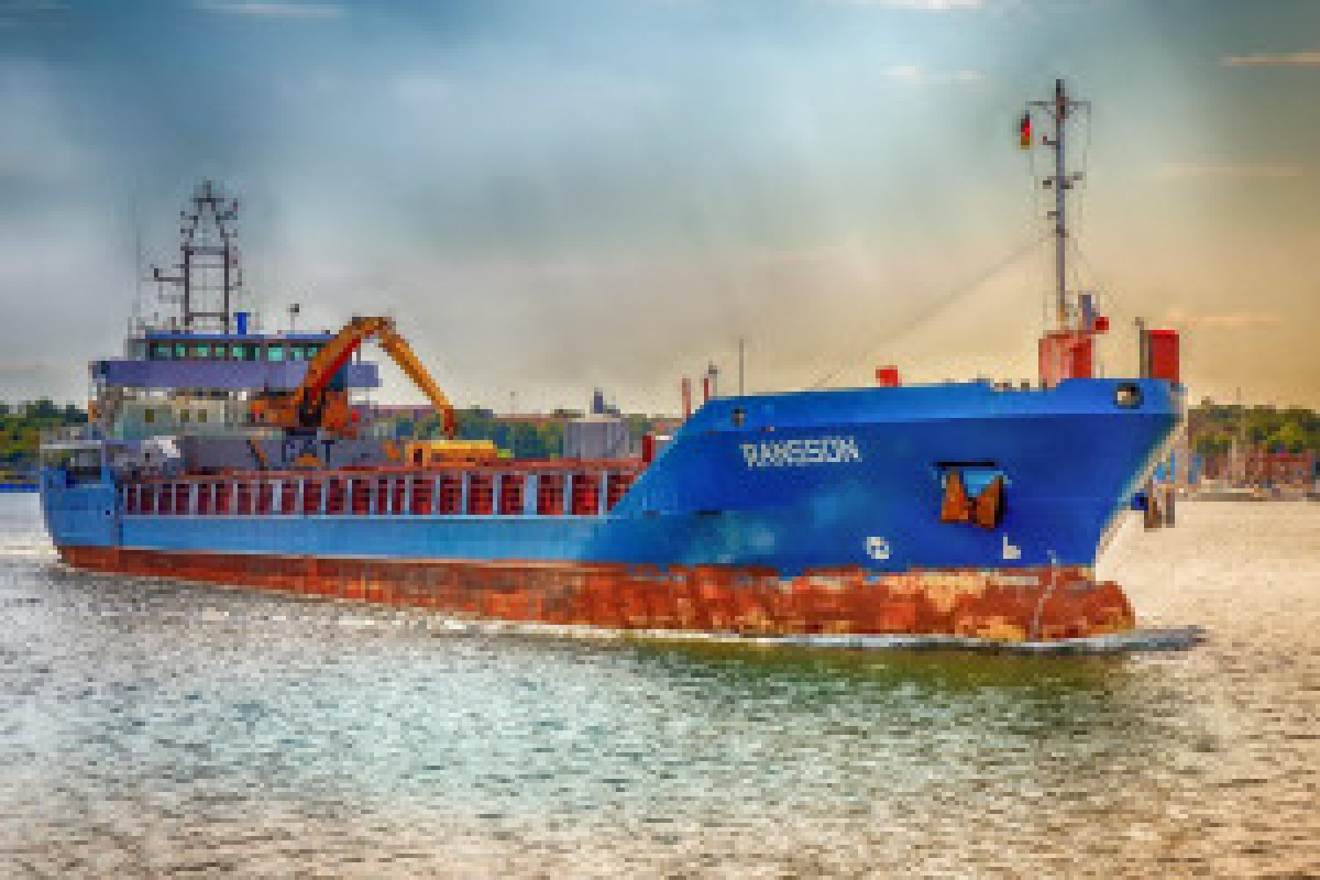 sunflower field harvest