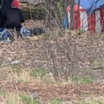 forest camp makeshift