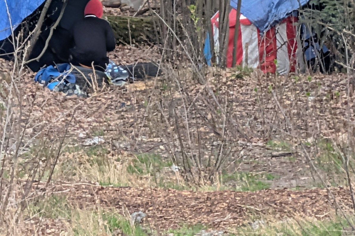 forest camp makeshift