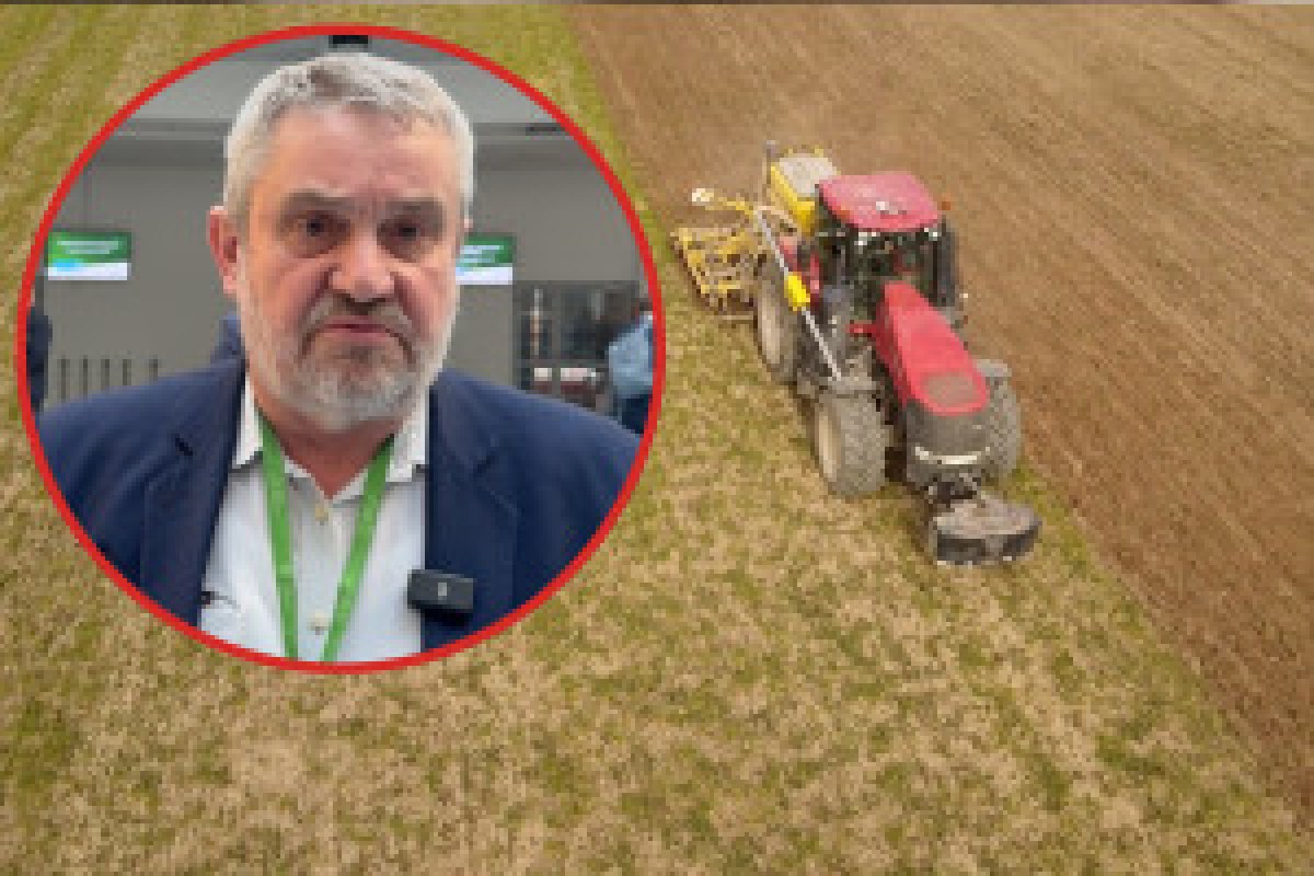 farmer protest field