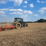 polish countryside conflict