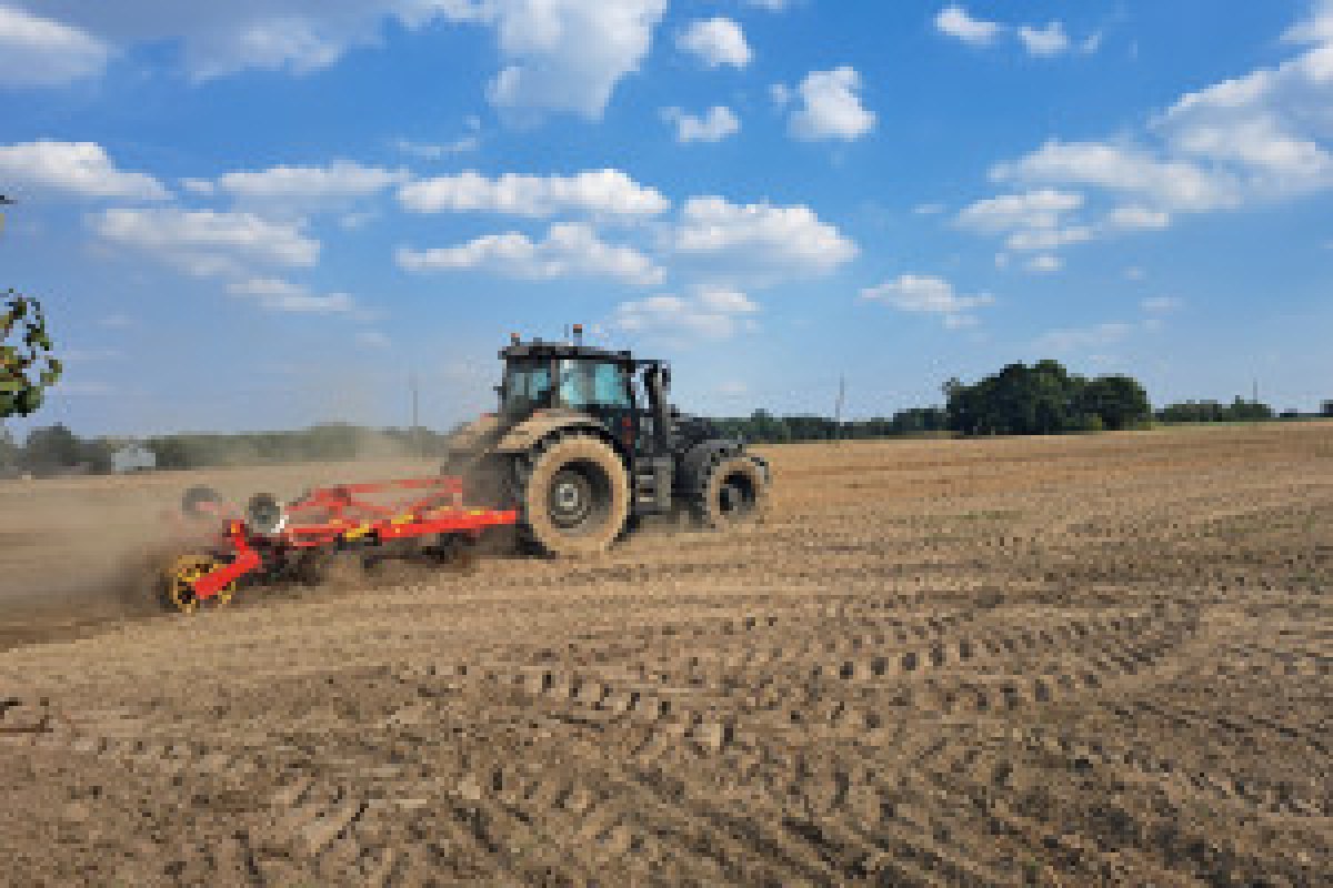 polish countryside conflict