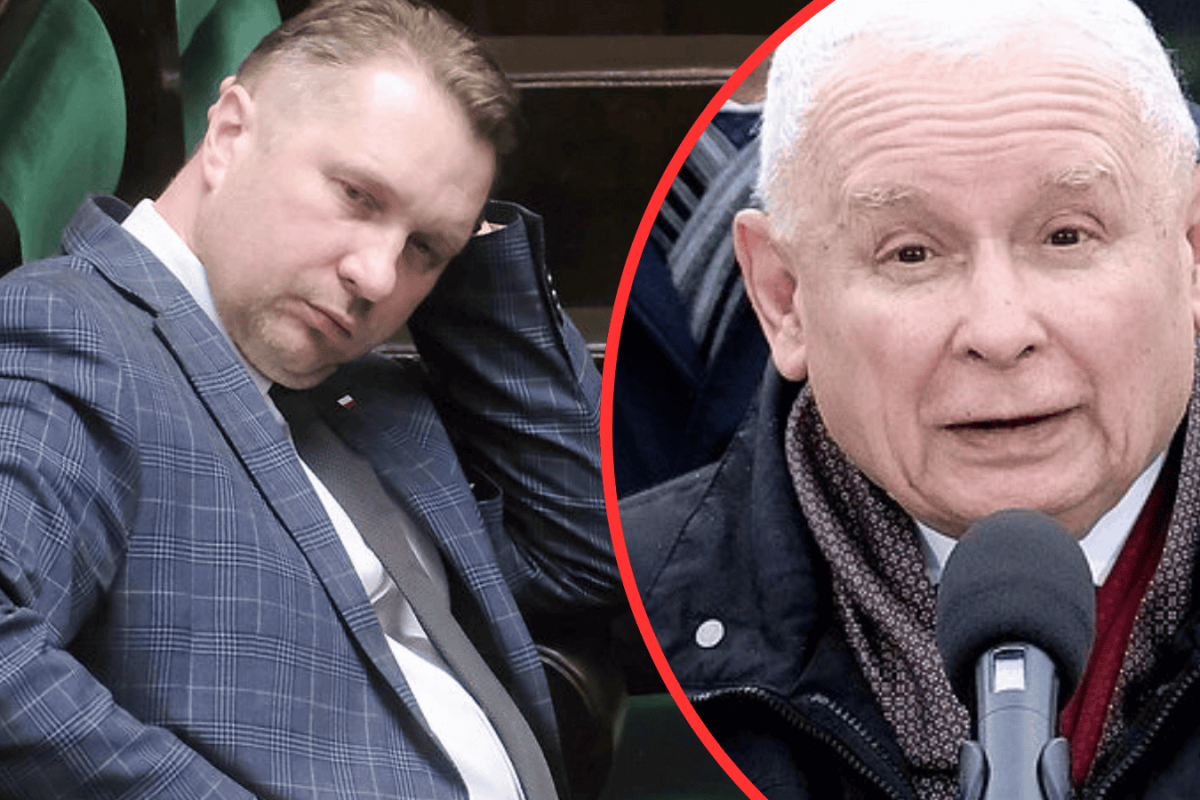 political poll chart