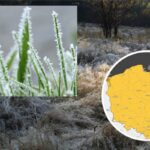 frosty morning field