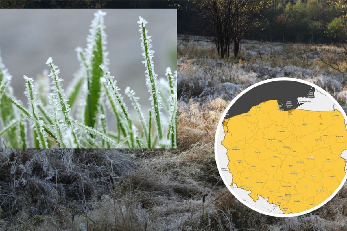frosty morning field