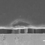 battery microscope dendrites